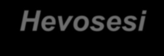 Mix HA+MSM MYÖS