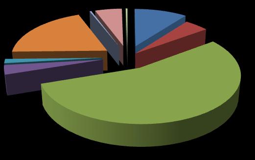 aluepelastus 4,7 % Vapaa-aikakeskus 1,5 % Kasvatus- ja opetuskeskus 23,8 %