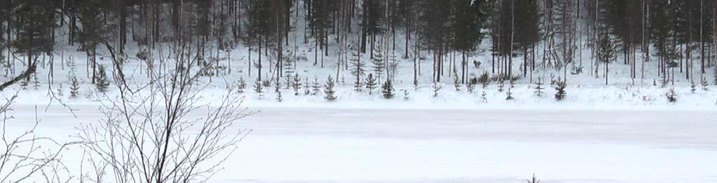 Ympäristökuva Loma-alue on suunniteltu kiinteäksi ja selkeästi hahmottuvaksi kokonaisuudeksi. Rakentamistapa noudattaa tunturikeskuksen toteutunutta rakentamistapaa.