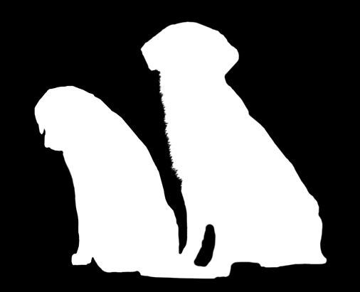 pienikokoisille aikuisille koirille (paino alle 10 kg).