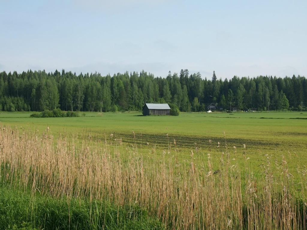 Tilakohtainen kuivatustarvekartoitus: Selvitetään: Kuivavarat Laskuaukot Salaojakaivot Valta- ja piiriojien kunto Rumpujen