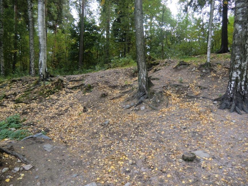 Kolkkapojanpuiston leikkipaikat Pitäjänmäen puolella Osa koira-aitauksista vaatii kehittämistä ja