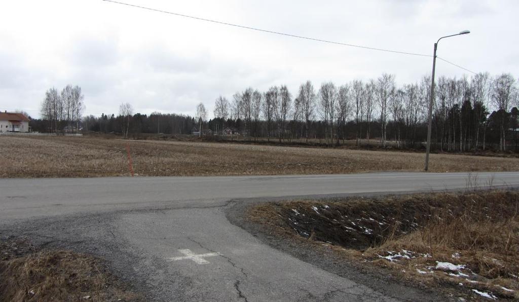 Kaava-alueen rajaus myötäilee lännessä Lågfjärdsbäckeniä. Kuva 4. Näkymä kaava-alueen länsiosasta.