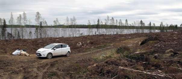 Kivirannan kaavoitettua lomarakennusaluetta. Kuvattu kohti itää. 19.5. 2011. Rantala (kohde 4.