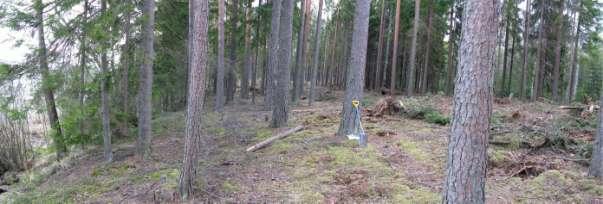 Tuomelan tilan itäiset lomarakennuspaikat olivat maapohjalta kuivempia ja hiekkaisia. Alueelta ei kuitenkaan löydetty merkkejä muinaisjäännöksistä. Vasemmalla Torsa-järvi.