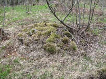 tasaisemmalla alueella. Röykkiön on kooltaan noin 3 x 3 metriä, ja korkeudeltaan noin 40 cm.