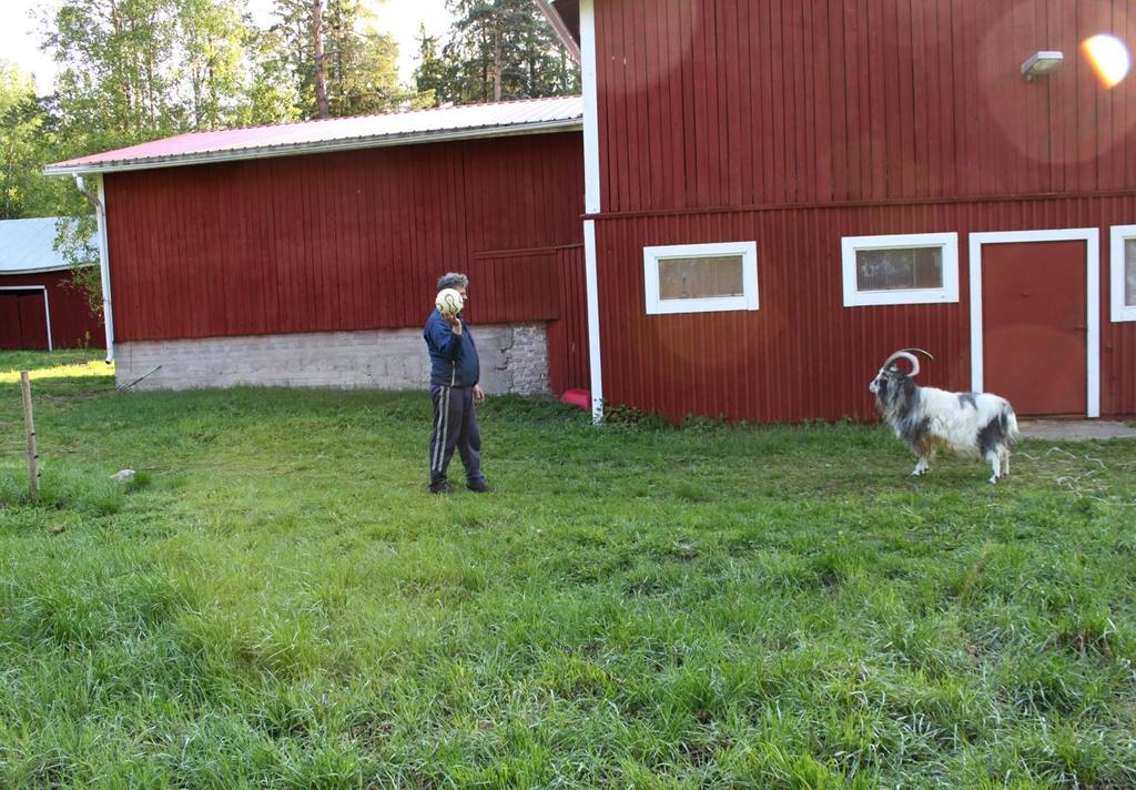 Kiitos!
