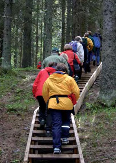 Kuva Hilkka Koivisto. Ulkoilu- ja virkistyskäyttö Puijon alue on keskeisen sijaintinsa vuoksi kuopiolaisille merkittävä ulkoilu- ja virkistysalue.