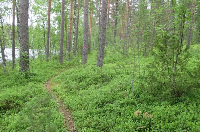 Päiviösaaren lähiympäristö muodostuu mantereen ja Pienen Jänkäsalon saaren välisestä sokkeloisesta vesistöalueesta, jota täplittävät useat pienet saaret ja luodot.