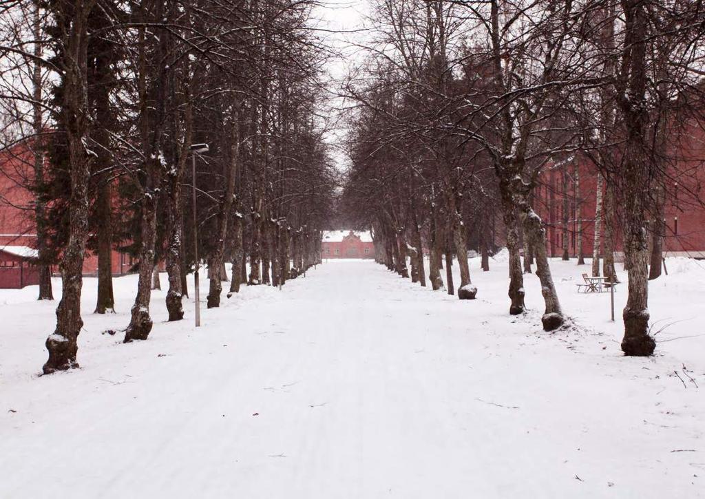 Lehmuskujan aksiaalisen sommitelman päätteenä on