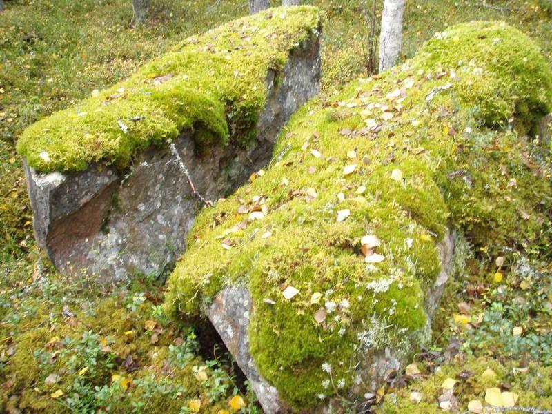 Kuvattu pohjoisesta. Kuva 16. joki 41.