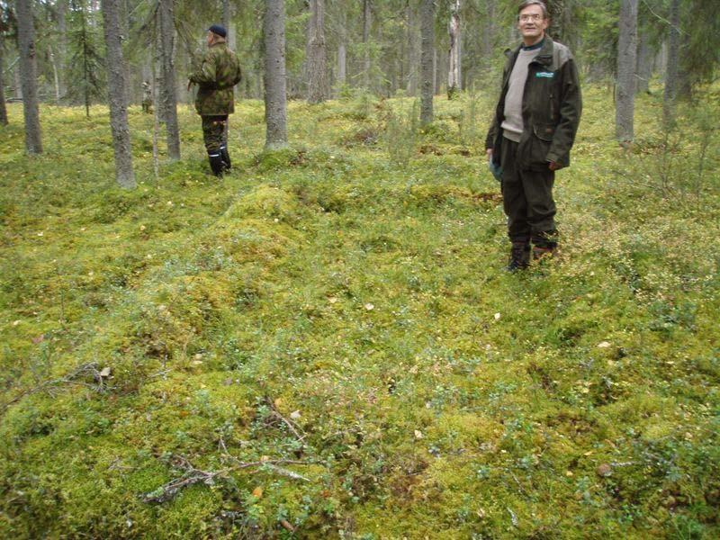 Kuva 17. joki 42. Majoitusrakennuksen jäännökset. Kuvattu pohjoisesta.