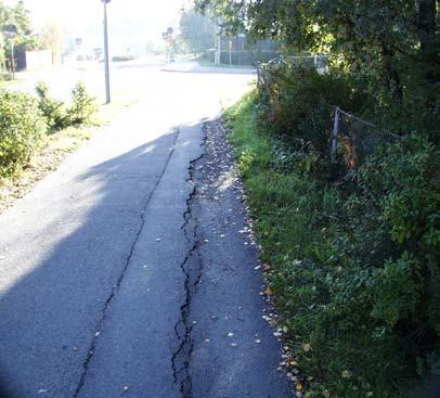 lukuisia vaurioita, joita ei kaikkia kuitenkaan inventoitu. Vaurioinventointi suoritettiin viiden eri kuntoarvon (1-5) saaneen kohteen osalta.