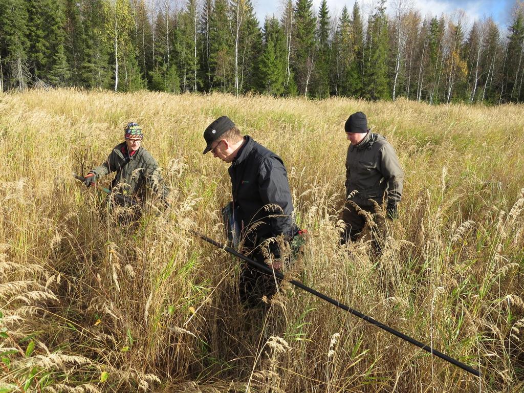 Taustaa Korpien luontainen taimettumisherkkyys on tunnettu