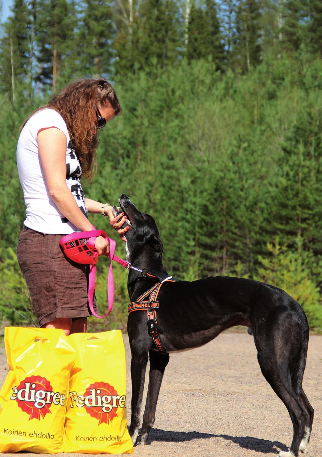 HOUND GREY20v ETELÄN