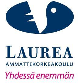 Väkivaltaisen potilaan kohtaaminen hoitotyössä de-eskalaatiomallin