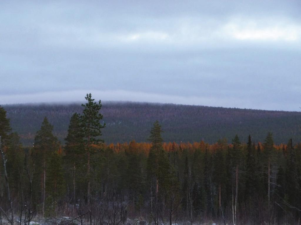 Kuolavaara - Keulakkopään tuulipuiston arkeologinen