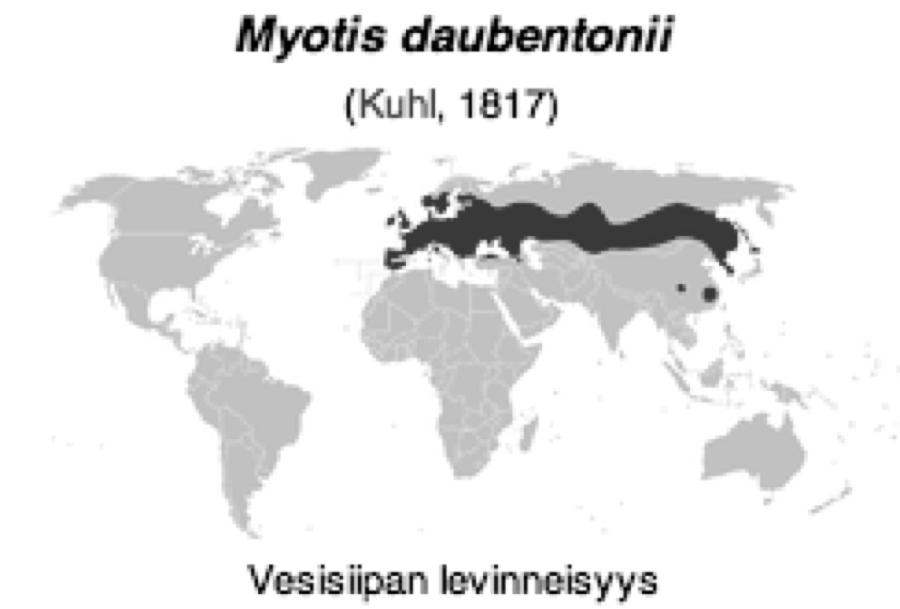 development of rabies vaccine EBLV-2 sukupuu Jakava-Viljanen 2010