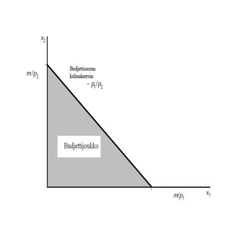 Budjettirajoite Kahden hyödykkeen taaus, 1 ja Määrä x 1 ja x sekä hinta 1 ja Kuluttajan tulot m Budjettirajoite : 1 x 1 + x m Tulkinta: Kuluttaja ei voi ostaa hyödykkeitä 1 ja enemää kuin mitä hänen