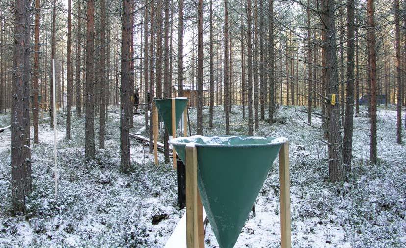 kertoo Posio ja lisää, että tuhotarkastus tehdään koko puulle.