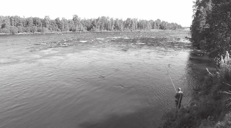 Järviranta- ja Järvipalle -talot, josta Eetu Paakkisen ja Juho Paakkisen perheet evakkomatkalle lähtivät. Enempää Raudun Paakkisten asuinsijoja ei parin päivän reissulla ehditty käydä. Esim.