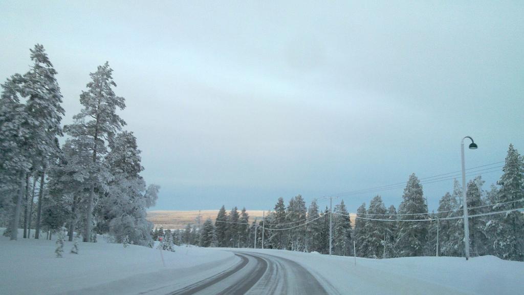 7 Maaperä Alueen maaperä on kivikkoista moreenia. Uhanalaiset kasvilajit Alueelta ei löytynyt uhanalaisten kasvilajien esiintymiä maastokäynnin yhteydessä.