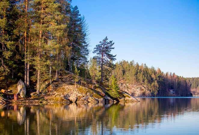 Vesi on levien ja viherkasvien vihertäväksi värjäämää. Alakuva on otettu 26.4.
