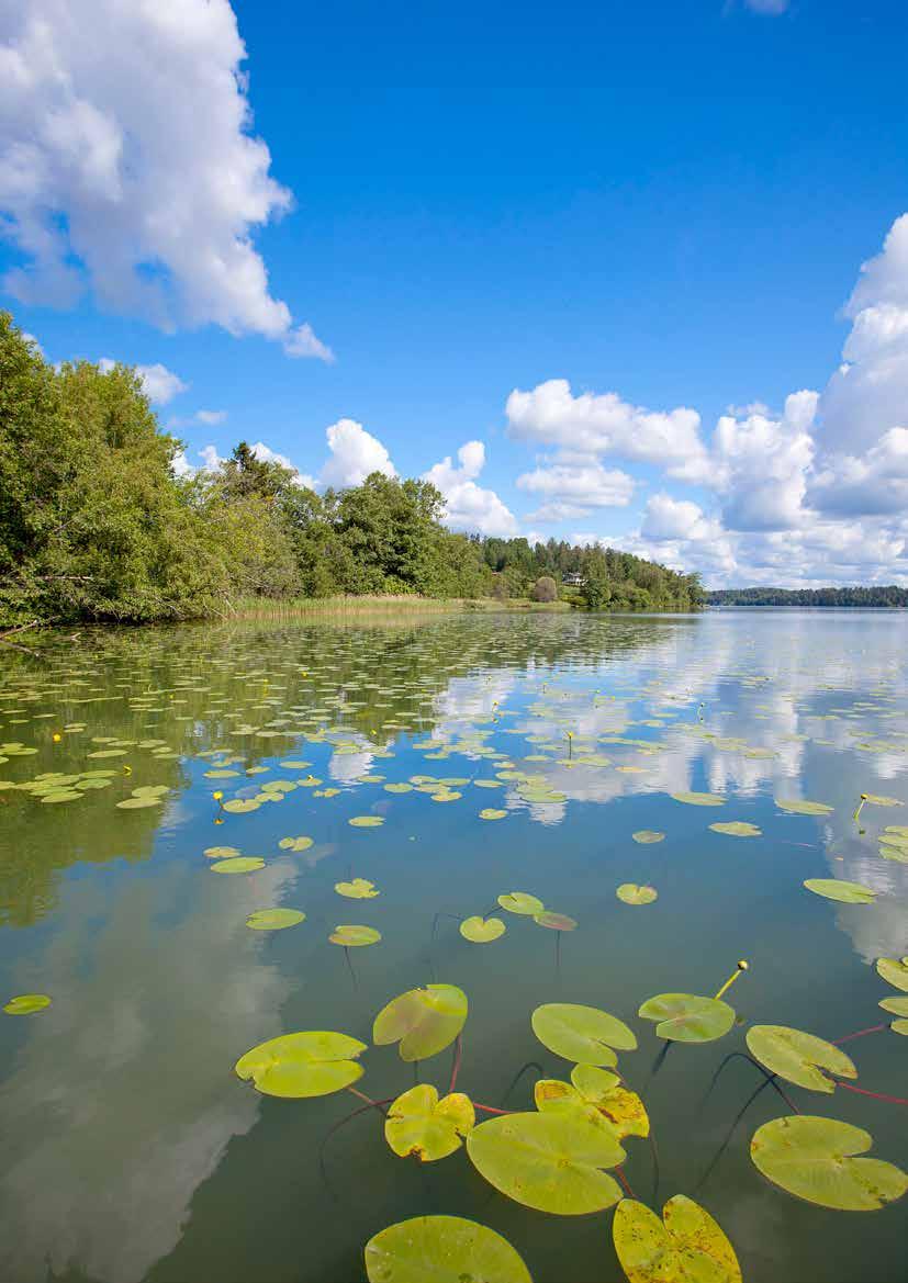 Kuva 14. Soutumatka kohti mittausasemia alkoi täältä Lähtelänlähdeltä 12 kertaa.