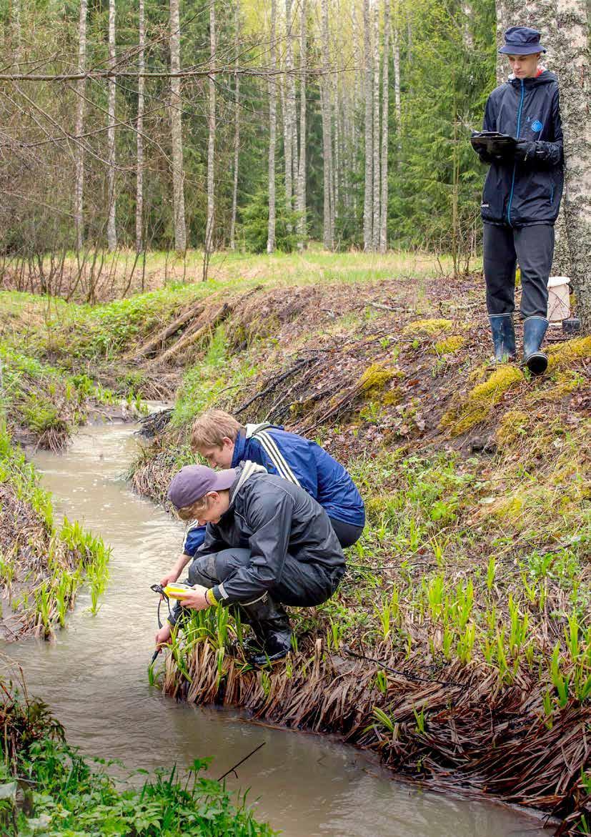 Kuva 59. Ajauduttuaan tutkimaan keväisiä puroja lukiolainen saattaa huomata, ettei ole joutunut opiskelu-uransa pahimpaan paikkaa.