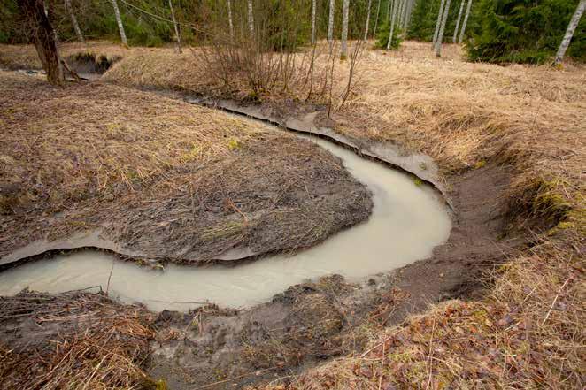 Kuva 66. Yläkuvassa Lähtelänojan loppupään meanderointia huhtikuun lopussa.