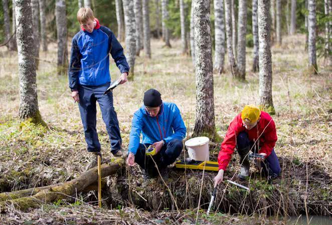 korkea sähkönjohtavuus, mikä kertoo veden likaisuudesta.