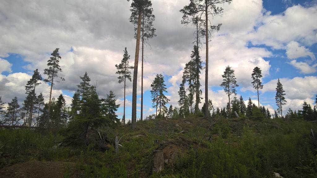 On käännettävä kasvavasti menestystekijäksi se, että Suomessa sijaitsevaa