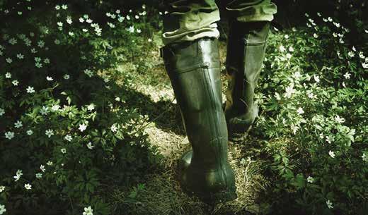 Ihminen ja metsä Metsämiesten Säätiö on 1948 perustettu metsäalan yleishyödyllinen säätiö. Tehtävänämme on metsäalan kehittäminen ja tukeminen sekä metsäalan ihmisten hyvinvoinnin edistäminen.