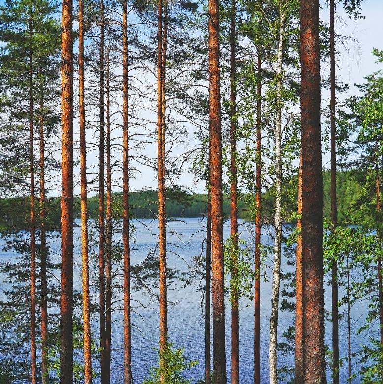 Resurssitehokkuudella voidaan parantaa