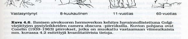 poimuttunut ulottuu lähes sisimpien keskiosien ympäri 100