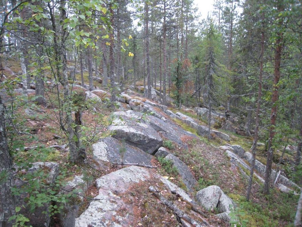 3 2. Palo-Karhurova, Pello Kohteen tunnus: JJTE-2013-46 Karttalehti: T4243L, T4234L Alueen pinta-ala: 1,7 ha Korkeus: 180 m mpy Suhteellinen korkeus: 50 m Kivilaji: Graniitti Alueen arvot: Muut