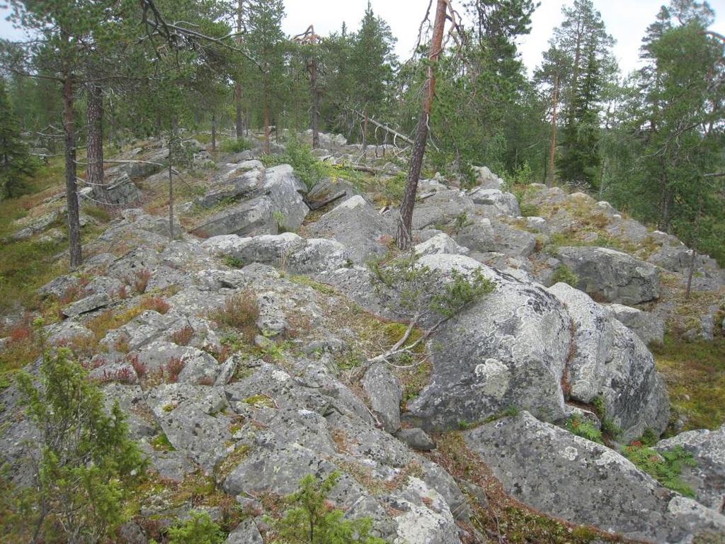 4 3. Alarakka S, Rovaniemi Kohteen tunnus: JJTE-2013-14 Karttalehti: T4312R Alueen pinta-ala: 4,7 ha Korkeus: 190 m mpy Suhteellinen korkeus: 40 m Kivilaji: Kvartsiitti Alueen arvot: Muut arvot: