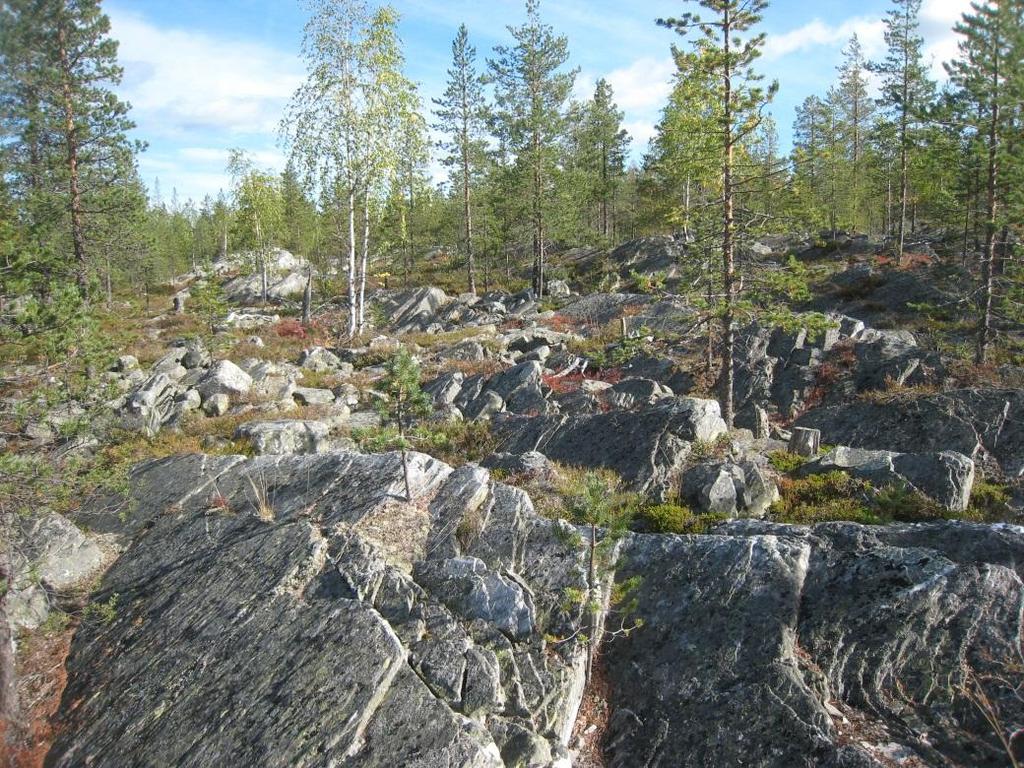 13 9. Jokilamminkivalo, Rovaniemi Kohteen tunnus: PJL3-2013-1 Karttalehti: T4331L Alueen pinta-ala: 16,2 ha Korkeus: 180 m mpy Suhteellinen korkeus: 30 m Kivilaji: Kvartsiitti Alueen arvot: Muut
