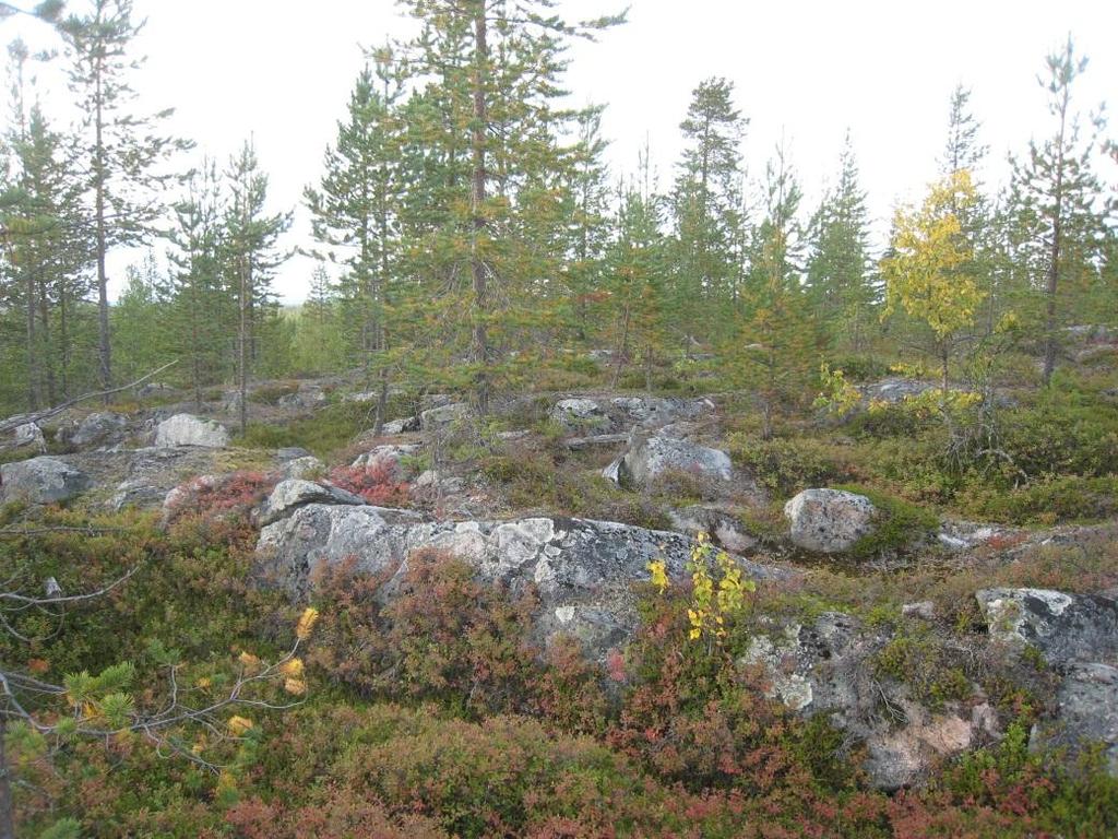 14 10.