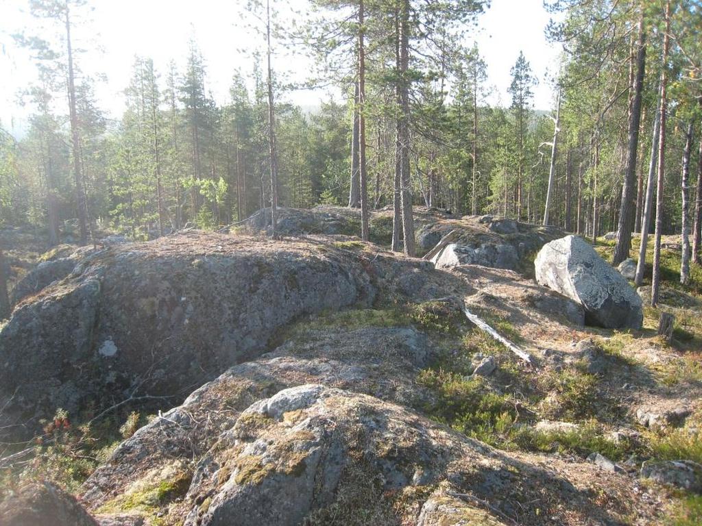 Kuva 35.