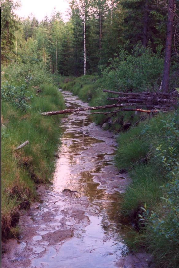 Vesiensuojelumenetelmillä
