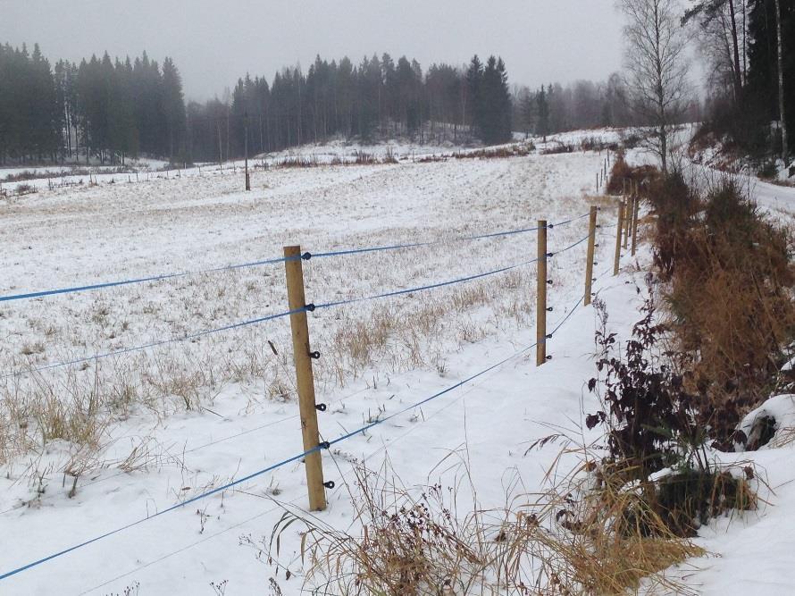 Eläintilallisten tupailta Useita tilakäyntejä Okra-messut