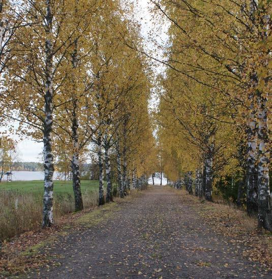 2.11.2 Maiseman ja kulttuuriperinnön arvoalueet ja -kohteet Suunnittelualuetta koskevista kulttuuriperinnön kohteista on hyvät tiedot, sillä alueelle on laadittu useita selvityksiä valtatien