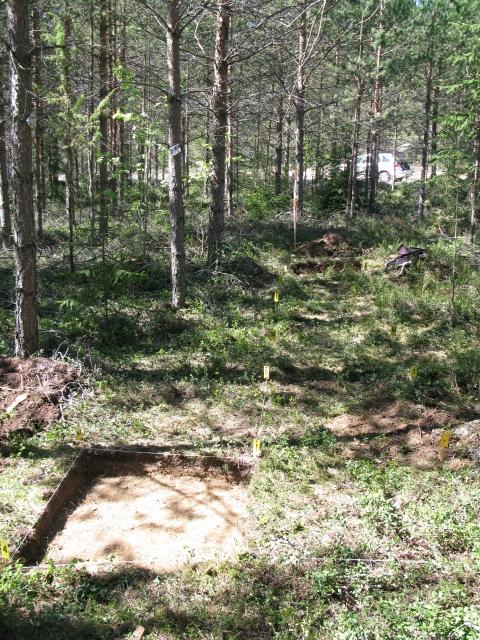 Kuva Riku Mönkkönen 27.5.2008.