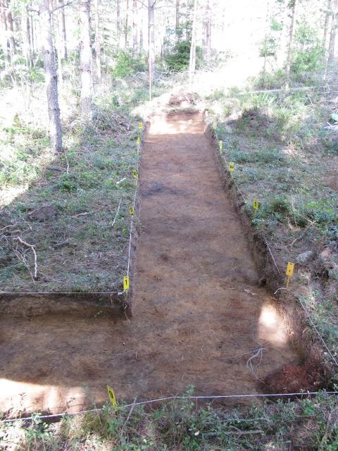 Kuva Riku Mönkkönen 30.5.2008.