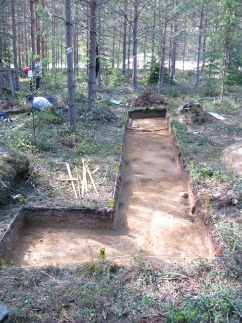 Kuva Riku Mönkkönen 2.6.2008.