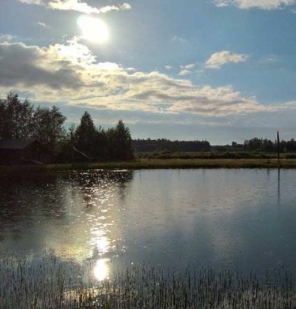 Törmänen Vieno Korpela Kaarina Sarviranta Sari Laitinen ja Tapio Lempinen TIEDOTUSTOIMIKUNTA Henrika Lohvansuu p.