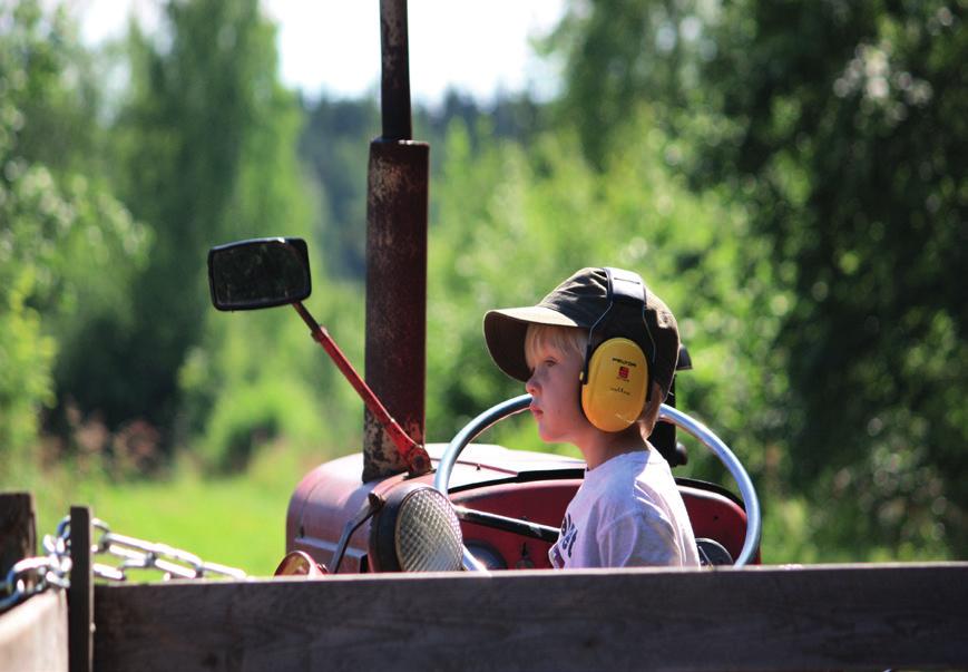 Kestävä kehitys voidaan jaotella ekologiseen, taloudelliseen, sosiaaliseen ja kulttuuriseen kestävyyteen.