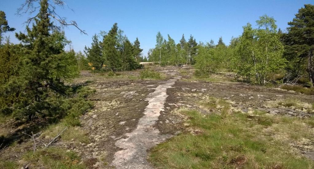 Alueen yleiskuvaus Pääosa suunnittelualueesta on metsäistä ja korkeuseroiltaan vaihtelevaa kalliomaastoa.