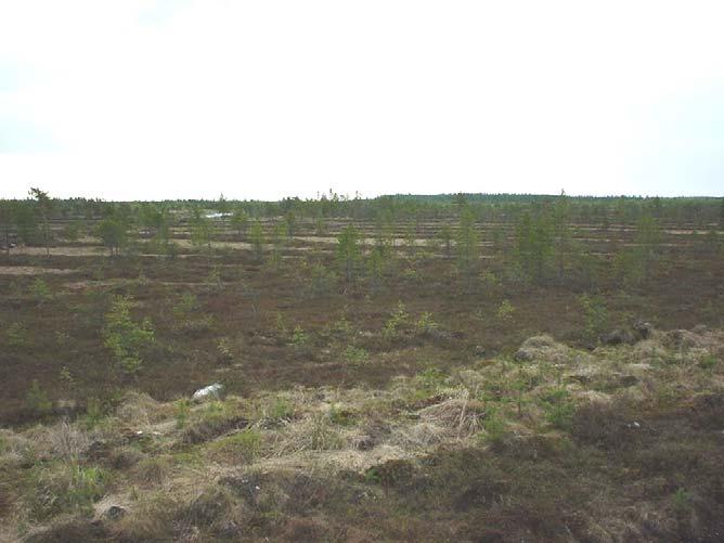 Hankkeen toteuttaminen koko tuotantokelpoisella alueella Hankealueella on Vapo Oy:n hallinnassaan maata noin 394 hehtaaria, josta tuotantokelpoista suota on 259,6 hehtaaria.